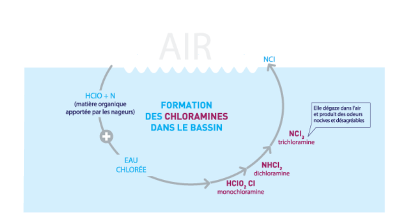 schéma chloramine